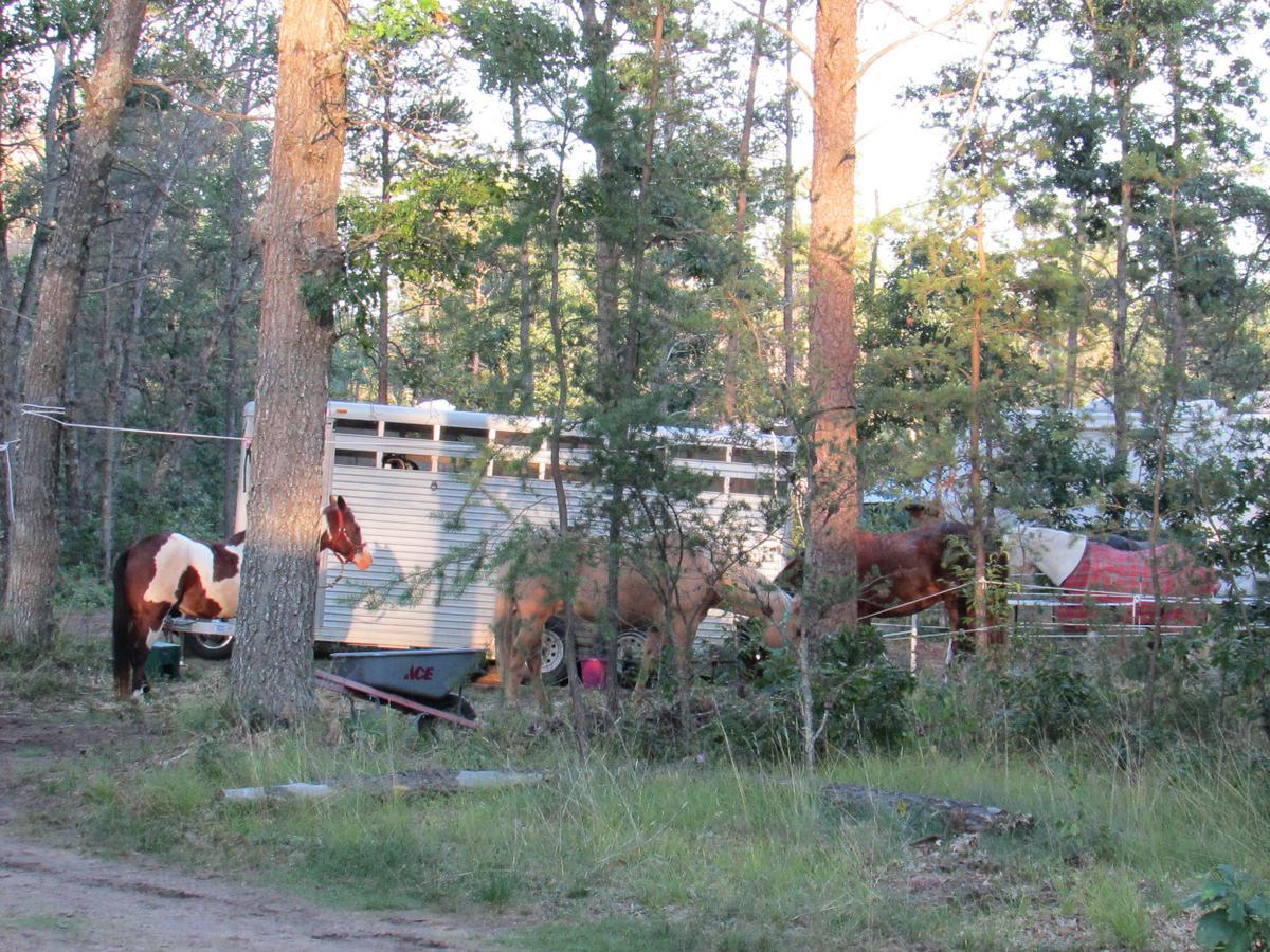 Best Bear Lodge Irons Exterior foto